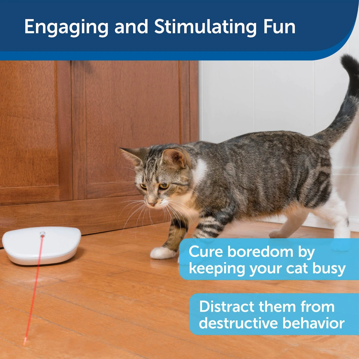 PetSafe Laser Tail Laser Cat Toy 6 PetSafe Laser Tail Laser Cat Toy - Image 4