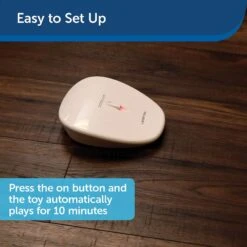 PetSafe Laser Tail Laser Cat Toy 15 PetSafe Laser Tail Laser Cat Toy -Pet Supplies Store 159065 PT5. AC SS1800 V1599844261