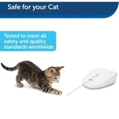 PetSafe Laser Tail Laser Cat Toy 16 PetSafe Laser Tail Laser Cat Toy -Pet Supplies Store 159065 PT6. AC SS1800 V1599844269