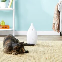 PetSafe Zoom Rotating Laser Cat Toy 12 PetSafe Zoom Rotating Laser Cat Toy -Pet Supplies Store 159067 PT2. AC SS1800 V1558467440