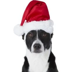 Frisco Holiday Dog & Cat Santa Hat, 1 Count 10 Frisco Holiday Dog & Cat Santa Hat, 1 Count -Pet Supplies Store 160054 PT2. AC SS1800 V1669100718