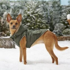 Frisco Mid-Heavyweight Portland Insulated Dog & Cat Parka 17 Frisco Mid-Heavyweight Portland Insulated Dog & Cat Parka -Pet Supplies Store 160295 PT7. AC SS1800 V1567618265