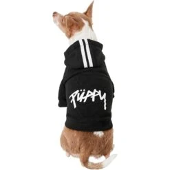 Frisco Püppy Dog Athletic Hoodie 11 Frisco Püppy Dog Athletic Hoodie -Pet Supplies Store 160342 PT2. AC SS1800 V1637689590