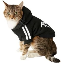 Frisco Püppy Dog Athletic Hoodie 12 Frisco Püppy Dog Athletic Hoodie -Pet Supplies Store 160342 PT3. AC SS1800 V1637716325