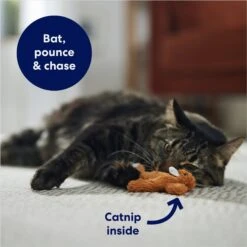 Frisco Squirrel Plush Cat Toy With Refillable Catnip -Pet Supplies Store 161271 PT3. AC SS1800 V1678723897