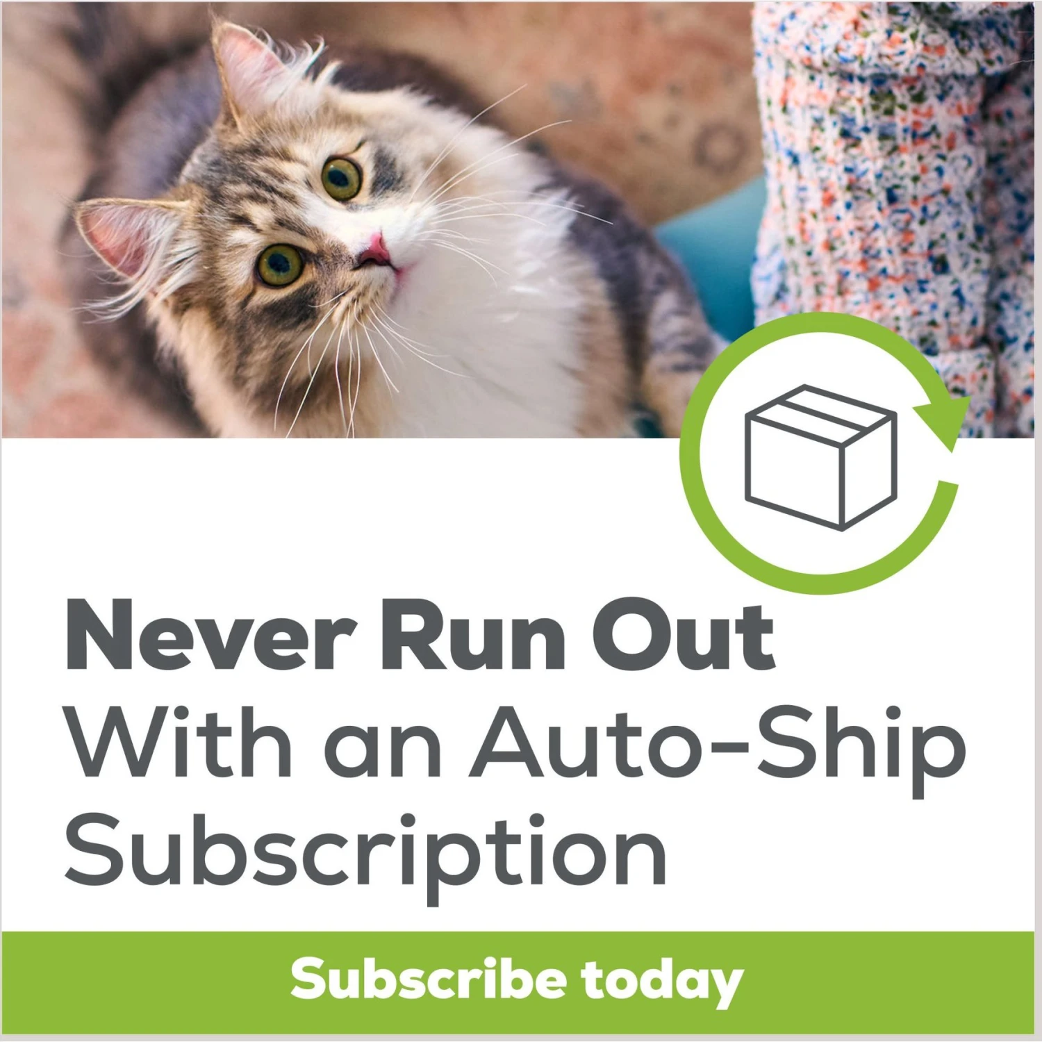 Tidy Max Lightweight 24/7 Performance Clumping Clay Cat Litter 9 Tidy Max Lightweight 24/7 Performance Clumping Clay Cat Litter - Image 7