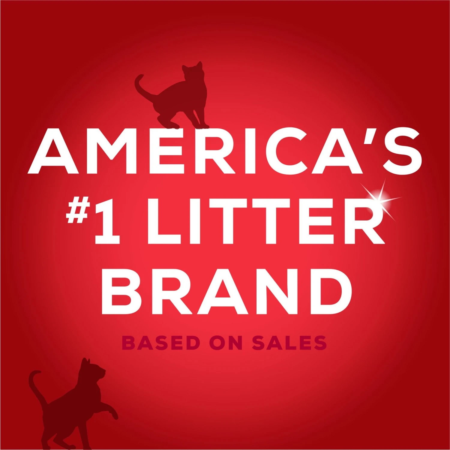 Tidy Max 24/7 Performance Scented Clumping Clay Cat Litter 8 Tidy Max 24/7 Performance Scented Clumping Clay Cat Litter - Image 6