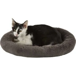 Frisco Self Warming Bolster Round Kitten Bed 7 Frisco Self Warming Bolster Round Kitten Bed -Pet Supplies Store 165315 PT2. AC SS1800 V1568211141