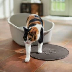 Frisco Shaped Cat Litter Mat -Pet Supplies Store 166306 PT3. AC SS1800 V1675279990