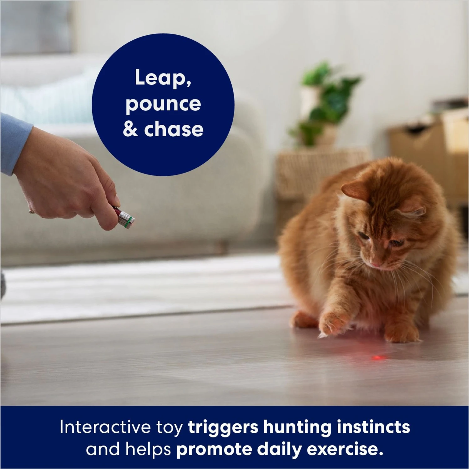 Frisco 2-in-1 Laser & LED Light Laser Cat Toy 5 Frisco 2-in-1 Laser & LED Light Laser Cat Toy - Image 3