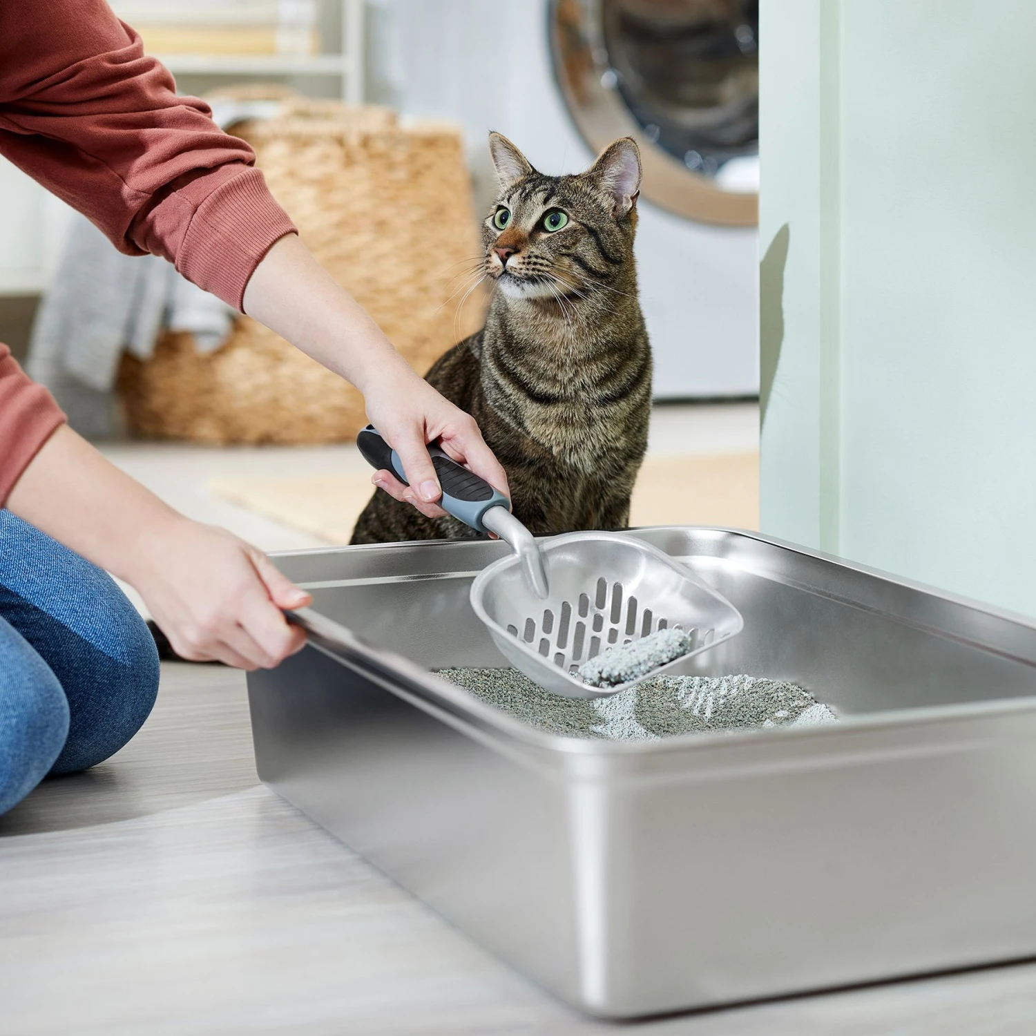 Frisco Litter Scooper 3 Frisco Litter Scooper