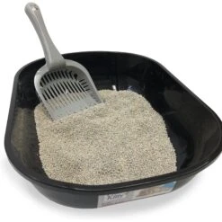 Fresh Kitty Deluxe Cat Litter Scoop, Color Varies 12 Fresh Kitty Deluxe Cat Litter Scoop, Color Varies -Pet Supplies Store 166730 PT4. AC SS1800 V1556225242