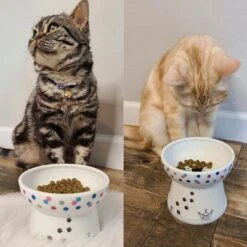 Necoichi Raised Cat Food Bowl, Colorful Dots -Pet Supplies Store 169388 PT4. AC SS1800 V1649354641