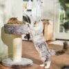 Frisco 24.8-in Heavy Duty Faux Fur Cat Tree 1 Frisco 24.8-in Heavy Duty Faux Fur Cat Tree -Pet Supplies Store 169397 MAIN. AC SS1800 V1680808632
