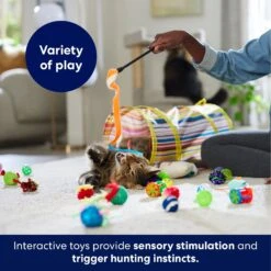 Frisco Plush, Teaser, Ball & Tunnel Variety Pack Cat Toy With Catnip 12 Frisco Plush, Teaser, Ball & Tunnel Variety Pack Cat Toy With Catnip -Pet Supplies Store 169688 PT5. AC SS1800 V1691784246