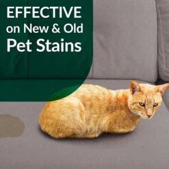 Simple Green Cat Stain & Odor Remover 15 Simple Green Cat Stain & Odor Remover -Pet Supplies Store 172629 PT6. AC SS1800 V1556823121
