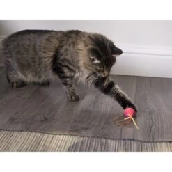 SmartyKat Crazy Cruiser Rumble Bug Electronic Cat Toy -Pet Supplies Store 173634 PT2. AC SS1800 V1599754701