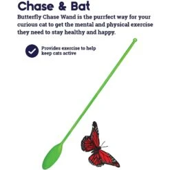 Catstages Butterfly Cat Wand Toy 12 Catstages Butterfly Cat Wand Toy -Pet Supplies Store 173737 PT2. AC SS1800 V1636504371