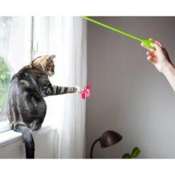 Catstages Butterfly Cat Wand Toy 16 Catstages Butterfly Cat Wand Toy -Pet Supplies Store 173737 PT7. AC SS1800 V1636517212