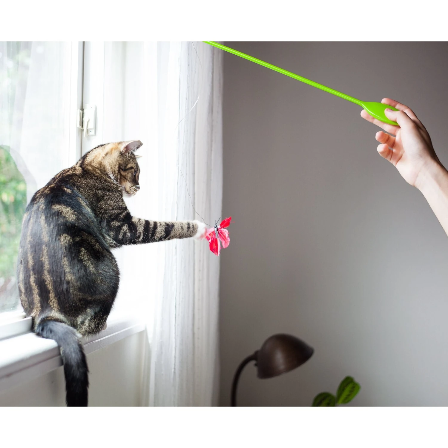 Catstages Butterfly Cat Wand Toy 9 Catstages Butterfly Cat Wand Toy - Image 7