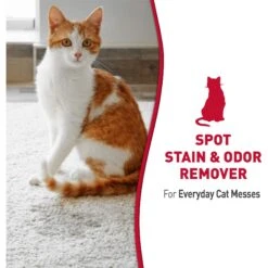 Nature's Miracle Cat Enzymatic Stain Remover & Odor Eliminator Refill, 1-gal Bottle -Pet Supplies Store 178085 PT7. AC SS1800 V1701116413