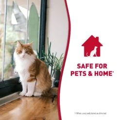 Nature's Miracle Cat Enzymatic Stain Remover & Odor Eliminator Refill, 1-gal Bottle -Pet Supplies Store 178085 PT8. AC SS1800 V1701116362