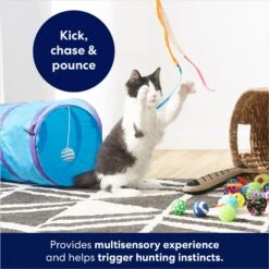 Frisco Plush, Teaser, Ball & Tri-Tunnel Variety Pack Cat Toy With Catnip, 20 Count 10 Frisco Plush, Teaser, Ball & Tri-Tunnel Variety Pack Cat Toy With Catnip, 20 Count -Pet Supplies Store 178161 PT3. AC SS1800 V1678723898