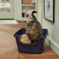 Vetbasis Herbal Lavender Scented Clumping Corn Cat Litter 10 Vetbasis Herbal Lavender Scented Clumping Corn Cat Litter -Pet Supplies Store 178316 PT3. AC SS1800 V1680789622