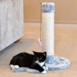 Armarkat 19-in Sisal Cat Scratching Post With Toy -Pet Supplies Store 179081 PT2. AC SS1800 V1678228287