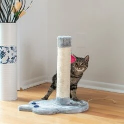 Armarkat 19-in Sisal Cat Scratching Post With Toy -Pet Supplies Store 179081 PT5. AC SS1800 V1678285921
