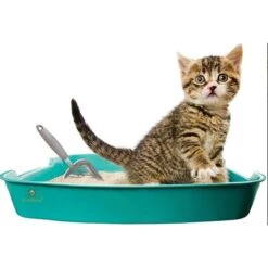 SunGrow Non-Stick Metal Scoop Kitty Box Cat Litter Scooper -Pet Supplies Store 179562 PT2. AC SS1800 V1561406825