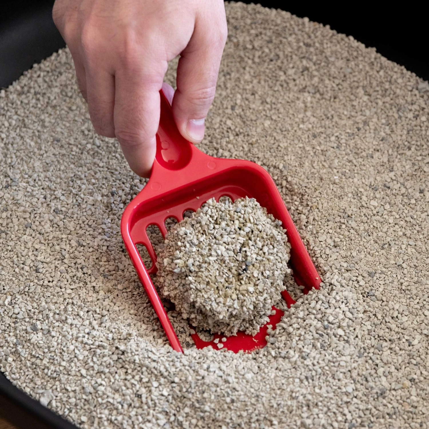 IRIS USA Large High-Back Open Top Cat Litter Pan With Scatter Shield & Scoop 10 IRIS USA Large High-Back Open Top Cat Litter Pan With Scatter Shield & Scoop - Image 8