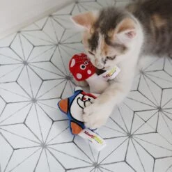 Mad Cat Gnome Sweet Gnome Catnip & Silvervine Cat Toy -Pet Supplies Store 181818 PT4. AC SS1800 V1634833911