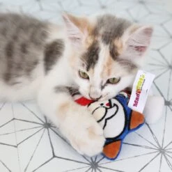 Mad Cat Gnome Sweet Gnome Catnip & Silvervine Cat Toy -Pet Supplies Store 181818 PT5. AC SS1800 V1634833922