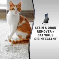 Nature's Miracle Advanced Platinum Cat Antibacterial Stain Remover & Odor Eliminator Spray, 32-oz Bottle 13 Nature's Miracle Advanced Platinum Cat Antibacterial Stain Remover & Odor Eliminator Spray, 32-oz Bottle -Pet Supplies Store 182979 PT2. AC SS1800 V1701116417