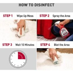 Nature's Miracle Advanced Platinum Cat Antibacterial Stain Remover & Odor Eliminator Spray, 32-oz Bottle 15 Nature's Miracle Advanced Platinum Cat Antibacterial Stain Remover & Odor Eliminator Spray, 32-oz Bottle -Pet Supplies Store 182979 PT4. AC SS1800 V1701116417