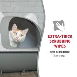 Nature's Miracle Cat Litter Box Scrubbing Wipes 17 Nature's Miracle Cat Litter Box Scrubbing Wipes -Pet Supplies Store 183021 PT6. AC SS1800 V1701115655
