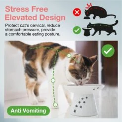 Necoichi Extra Wide Ceramic Elevated Cat Food Bowl, 2-cup 12 Necoichi Extra Wide Ceramic Elevated Cat Food Bowl, 2-cup -Pet Supplies Store 183502 PT1. AC SS1800 V1698866820