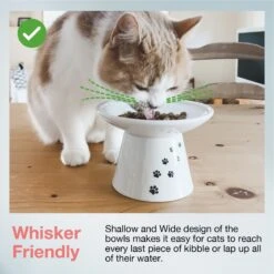 Necoichi Extra Wide Ceramic Elevated Cat Food Bowl, 2-cup 13 Necoichi Extra Wide Ceramic Elevated Cat Food Bowl, 2-cup -Pet Supplies Store 183502 PT2. AC SS1800 V1698867551