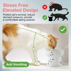 Necoichi Ceramic Elevated Cat Water Bowl 12 Necoichi Ceramic Elevated Cat Water Bowl -Pet Supplies Store 183505 PT3. AC SS1800 V1627495876
