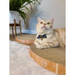 Necoichi Cozy Cat Scratcher Bowl Replacement Pad 16 Necoichi Cozy Cat Scratcher Bowl Replacement Pad -Pet Supplies Store 183519 PT5. AC SS1800 V1647460001