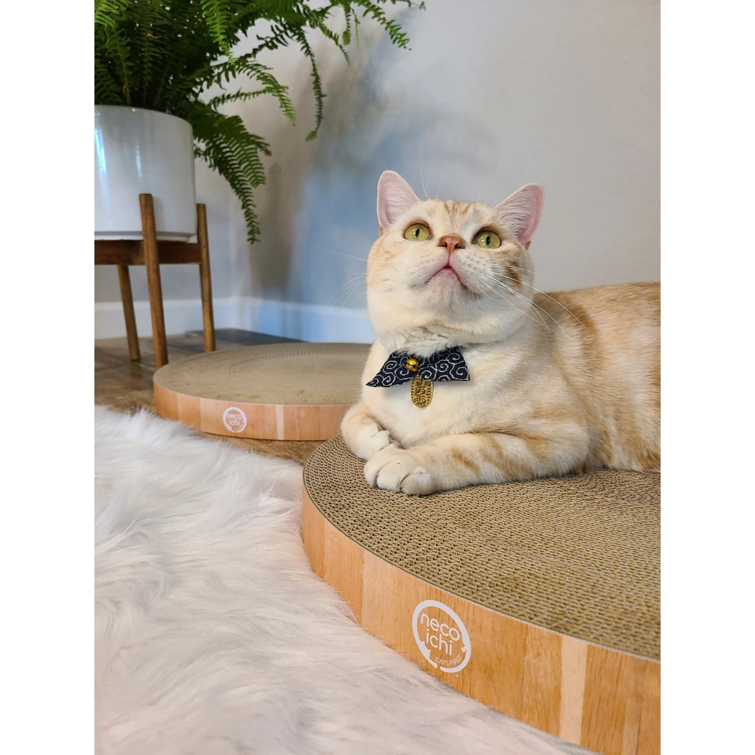 Necoichi Cozy Cat Scratcher Bowl Replacement Pad 8 Necoichi Cozy Cat Scratcher Bowl Replacement Pad - Image 6