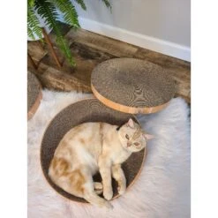 Necoichi Cozy Cat Scratcher Bowl Replacement Pad 18 Necoichi Cozy Cat Scratcher Bowl Replacement Pad -Pet Supplies Store 183519 PT7. AC SS1800 V1647460899