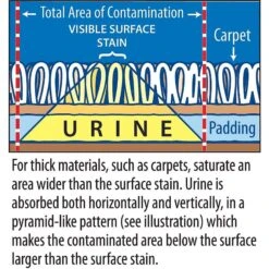 Stink Free Cat Urine & Odor Remover -Pet Supplies Store 183758 PT2. AC SS1800 V1628306227