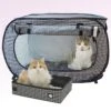 Necoichi Portable Stress Free Cat Cage & Litter Box Set 2 Necoichi Portable Stress Free Cat Cage & Litter Box Set -Pet Supplies Store 187416 MAIN. AC SS1800 V1627685479