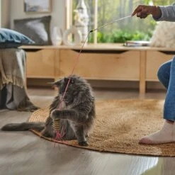 Ethical Pet Leather Strand Teaser Wand Cat Toy, Color Varies -Pet Supplies Store 189288 PT4. AC SS1800 V1682711057