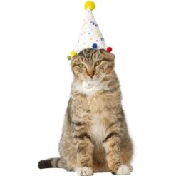 Frisco Confetti Dog & Cat Birthday Hat -Pet Supplies Store 191274 PT2. AC SS1800 V1582053206