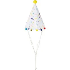 Frisco Confetti Dog & Cat Birthday Hat -Pet Supplies Store 191274 PT4. AC SS1800 V1582053256
