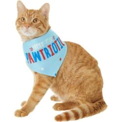 Frisco Pawtriot Dog & Cat Bandana -Pet Supplies Store 191277 PT2. AC SS1800 V1584623825