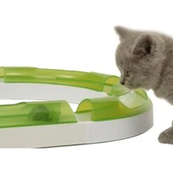 Catit Senses 2.0 Play Circuit Cat Toy 14 Catit Senses 2.0 Play Circuit Cat Toy -Pet Supplies Store 191554 PT3. AC SS1800 V1628185299